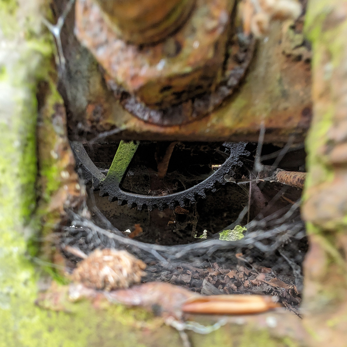 Sluice mechanism